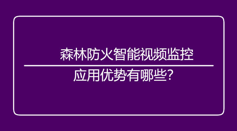 海口监控.jpg